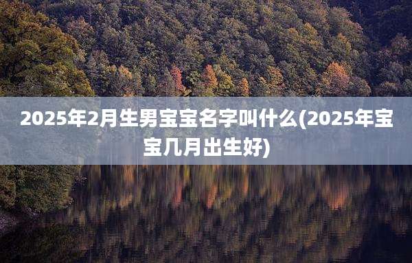 2025年2月生男宝宝名字叫什么(2025年宝宝几月出生好)