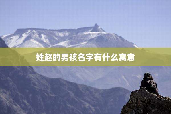 姓赵的男孩名字有什么寓意