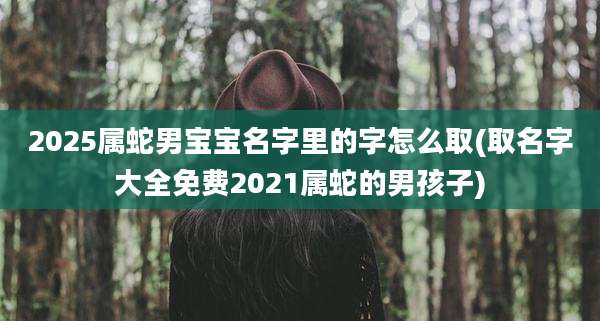 2025属蛇男宝宝名字里的字怎么取(取名字大全免费2021属蛇的男孩子)