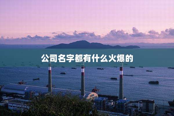 公司名字都有什么火爆的