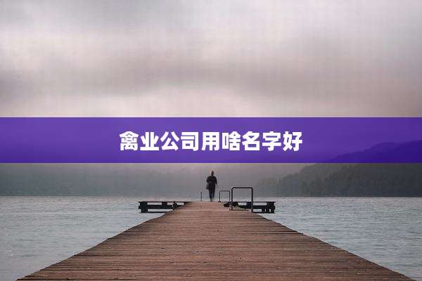 禽业公司用啥名字好