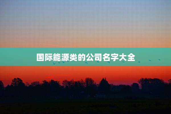 国际能源类的公司名字大全