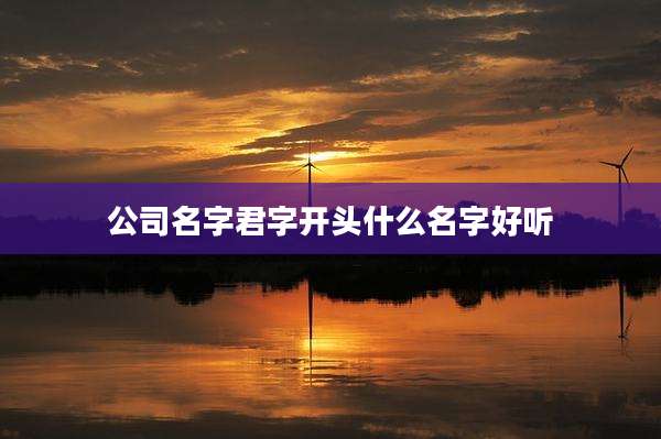 公司名字君字开头什么名字好听