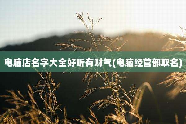 电脑店名字大全好听有财气(电脑经营部取名)