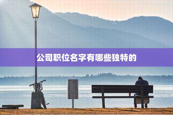 公司职位名字有哪些独特的