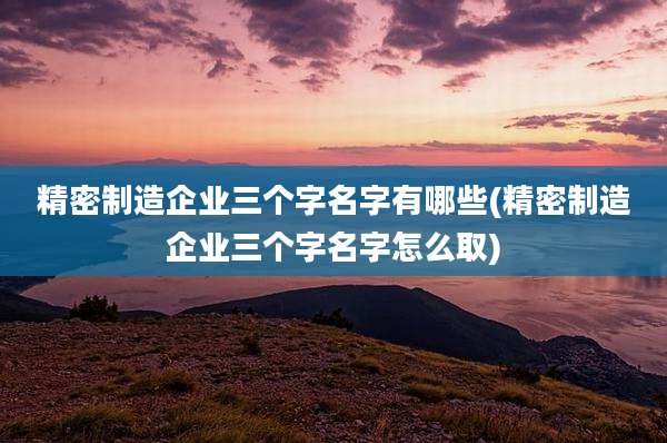 精密制造企业三个字名字有哪些(精密制造企业三个字名字怎么取)