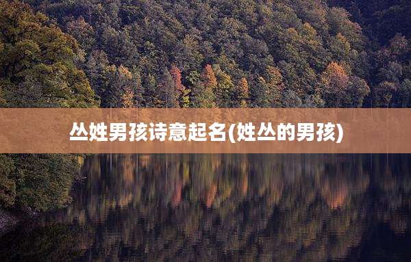 丛姓男孩诗意起名(姓丛的男孩)