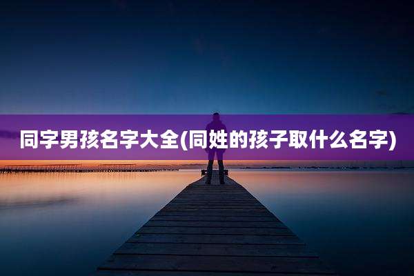 同字男孩名字大全(同姓的孩子取什么名字)