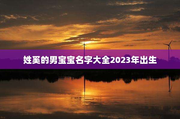 姓奚的男宝宝名字大全2023年出生