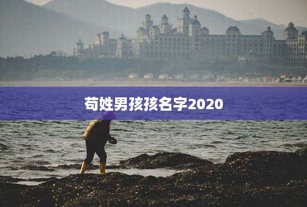苟姓男孩孩名字2020