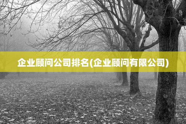 企业顾问公司排名(企业顾问有限公司)