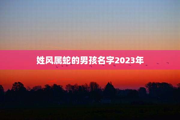 姓风属蛇的男孩名字2023年