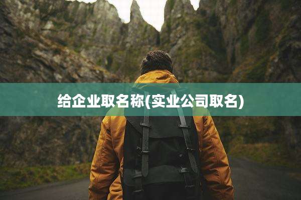 给企业取名称(实业公司取名)