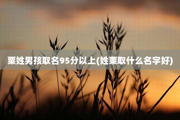 粟姓男孩取名95分以上(姓粟取什么名字好)