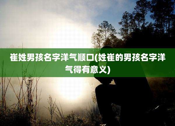 崔姓男孩名字洋气顺口(姓崔的男孩名字洋气得有意义)