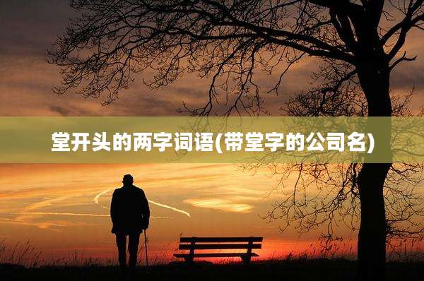 堂开头的两字词语(带堂字的公司名)