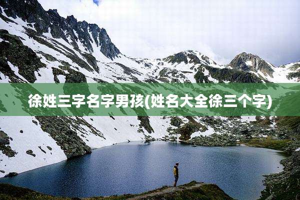 徐姓三字名字男孩(姓名大全徐三个字)