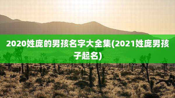 2020姓庞的男孩名字大全集(2021姓庞男孩子起名)
