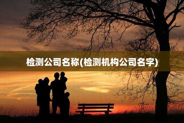 检测公司名称(检测机构公司名字)