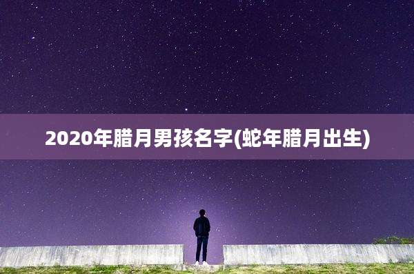 2020年腊月男孩名字(蛇年腊月出生)
