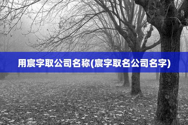 用宸字取公司名称(宸字取名公司名字)