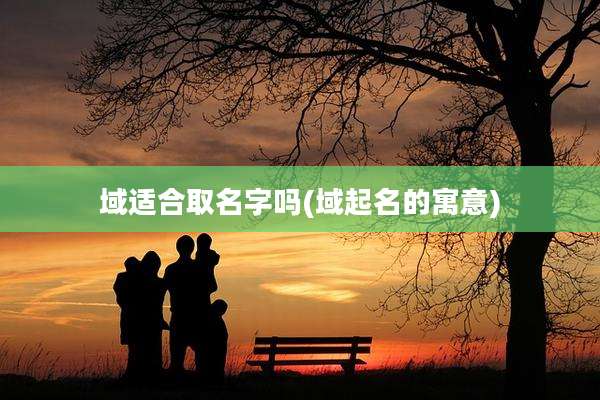 域适合取名字吗(域起名的寓意)