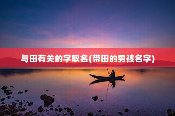 与田有关的字取名(带田的男孩名字)