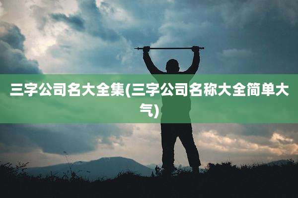 三字公司名大全集(三字公司名称大全简单大气)