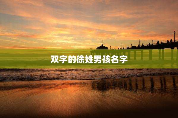 双字的徐姓男孩名字