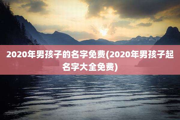 2020年男孩子的名字免费(2020年男孩子起名字大全免费)