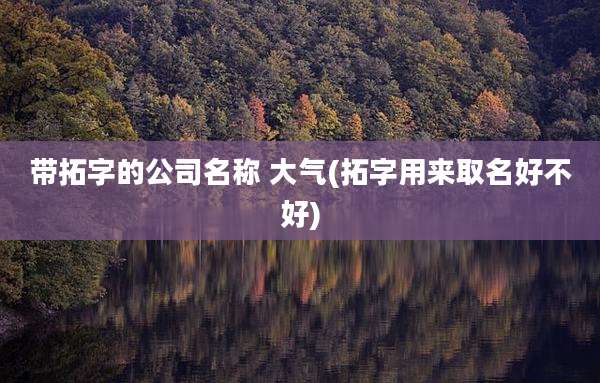 带拓字的公司名称 大气(拓字用来取名好不好)
