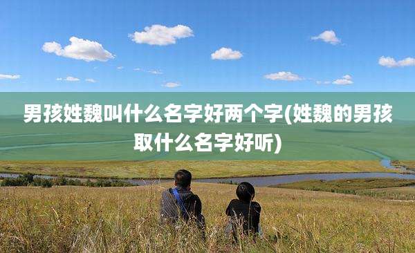 男孩姓魏叫什么名字好两个字(姓魏的男孩取什么名字好听)