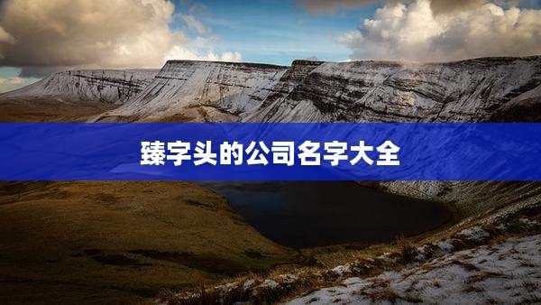 臻字头的公司名字大全