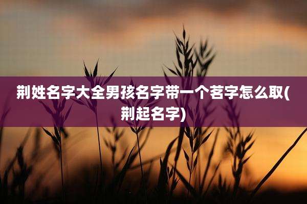 荆姓名字大全男孩名字带一个茗字怎么取(荆起名字)