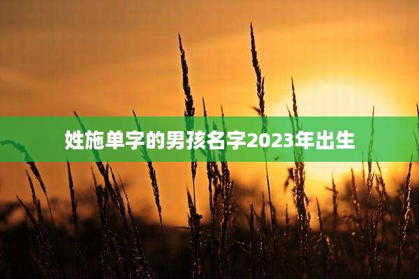 姓施单字的男孩名字2023年出生