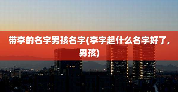 带李的名字男孩名字(李字起什么名字好了,男孩)