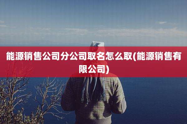 能源销售公司分公司取名怎么取(能源销售有限公司)
