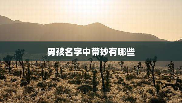 男孩名字中带妙有哪些