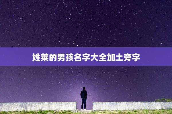 姓莱的男孩名字大全加土旁字