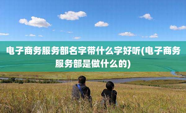 电子商务服务部名字带什么字好听(电子商务服务部是做什么的)