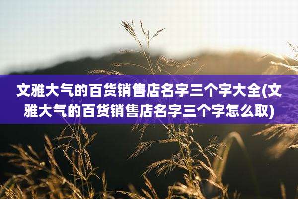 文雅大气的百货销售店名字三个字大全(文雅大气的百货销售店名字三个字怎么取)