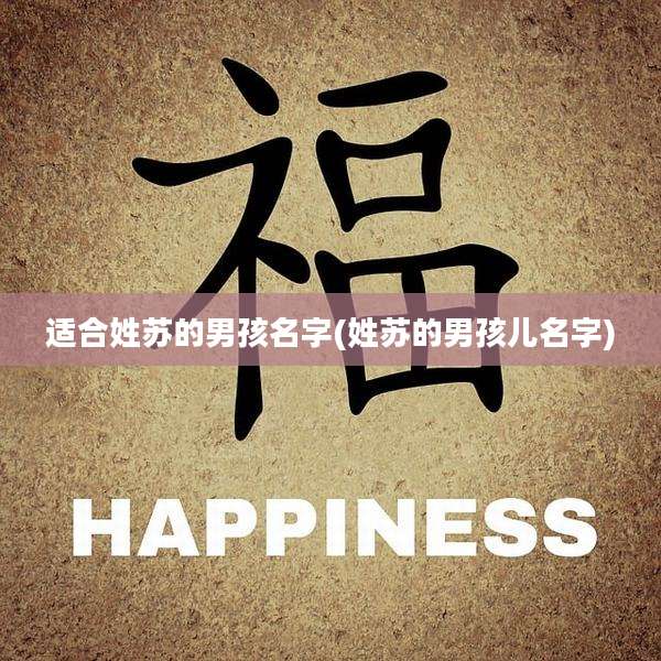 适合姓苏的男孩名字(姓苏的男孩儿名字)