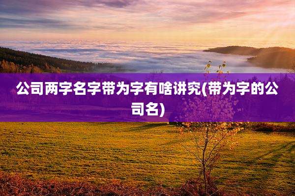 公司两字名字带为字有啥讲究(带为字的公司名)