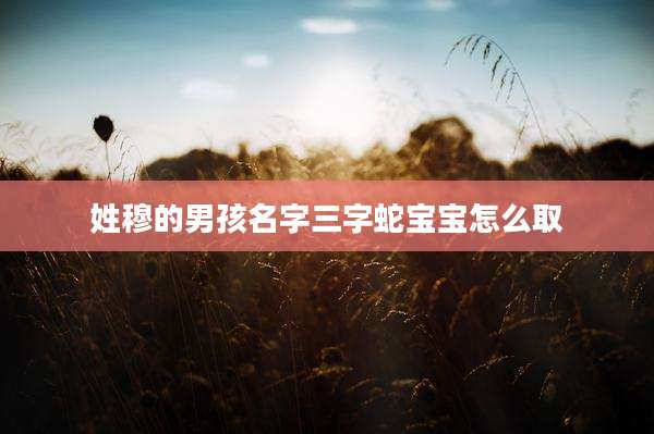 姓穆的男孩名字三字蛇宝宝怎么取