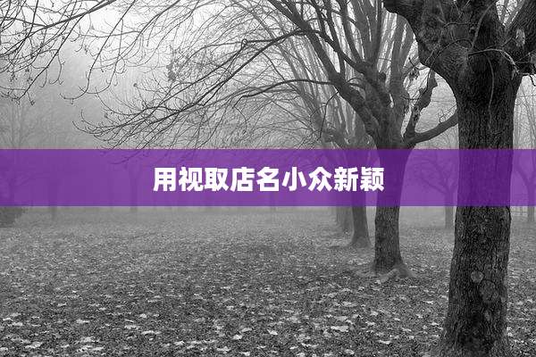 用视取店名小众新颖