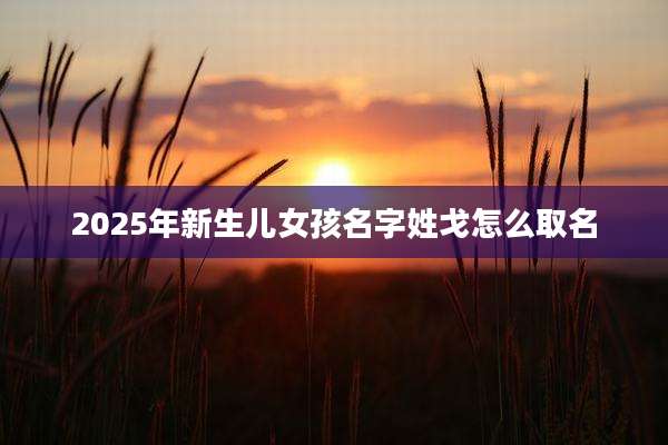 2025年新生儿女孩名字姓戈怎么取名