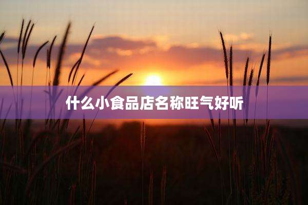 什么小食品店名称旺气好听