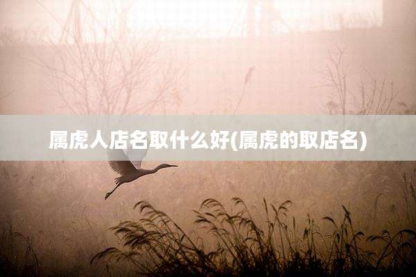 属虎人店名取什么好(属虎的取店名)