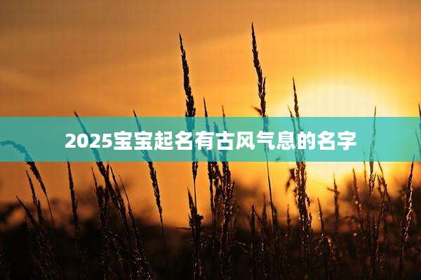 2025宝宝起名有古风气息的名字