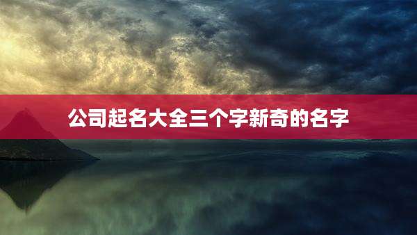 公司起名大全三个字新奇的名字